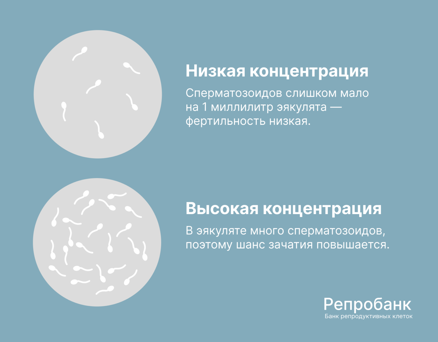 Беременной захотелось почувствовать вкус мужской спермы