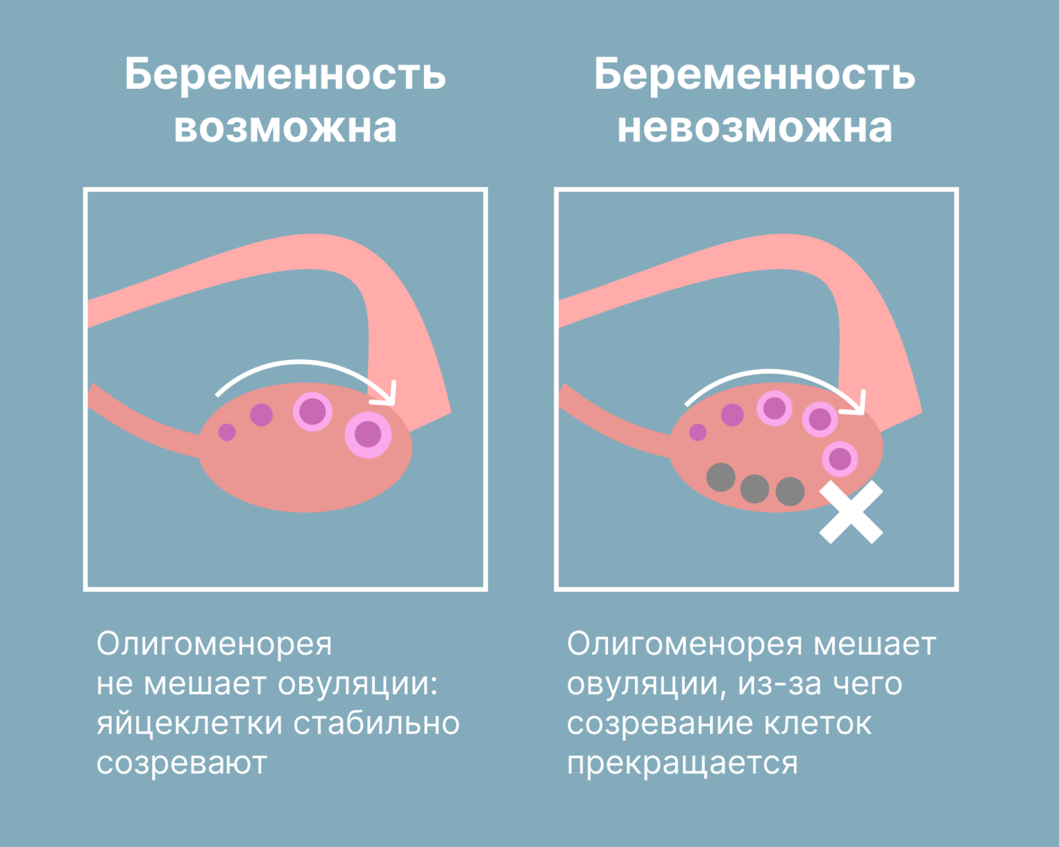 Можно Ли Забеременеть Через Месяц После Секса Можно Ли Забеременеть Через Месяц После Секса